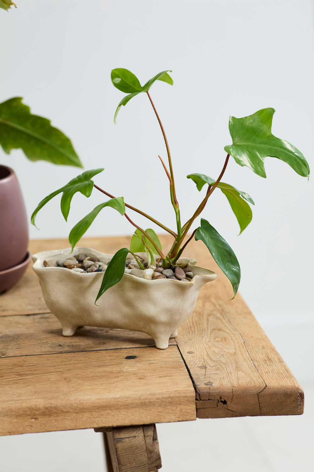 Glaslow Planter Set of 2 By Accent Decor | Planters, Troughs & Cachepots | Modishstore - 4