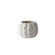Glazed Pumpkin Pot Set of 2 By Accent Decor | Planters, Troughs & Cachepots | Modishstore - 2 - Glazed Pumpkin Pot Set of 2 By Accent Decor
