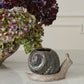 Snail Pot with Saucer Set of 2 By Accent Decor | Planters, Troughs & Cachepots | Modishstore - 5