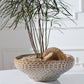 White Oak Bowl By Accent Decor | Decorative Bowls | Modishstore - 4
