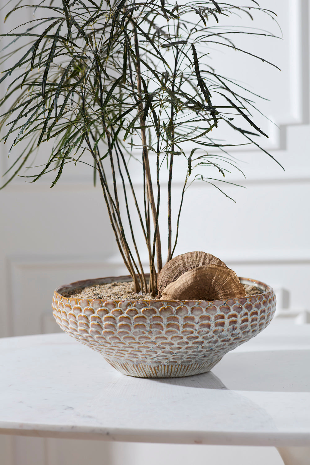 White Oak Bowl By Accent Decor | Decorative Bowls | Modishstore - 4