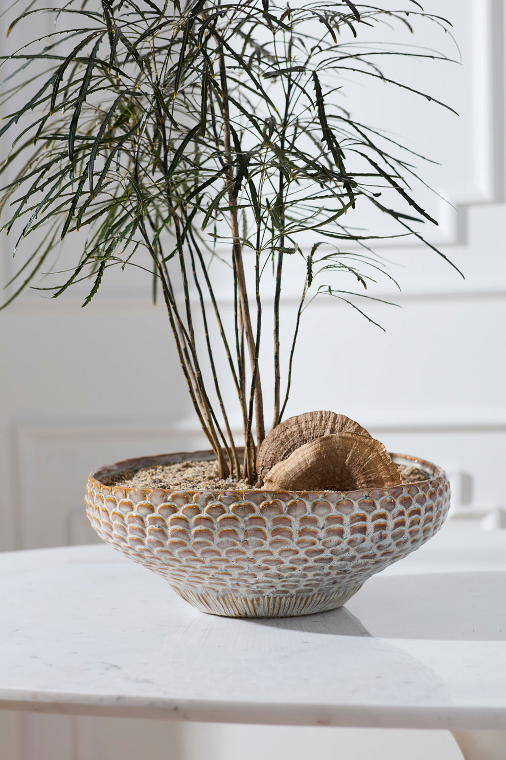 White Oak Bowl By Accent Decor | Decorative Bowls | Modishstore - 4
