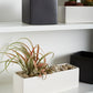 Urban Planter Set of 4 By Accent Decor | Planters, Troughs & Cachepots | Modishstore - 16