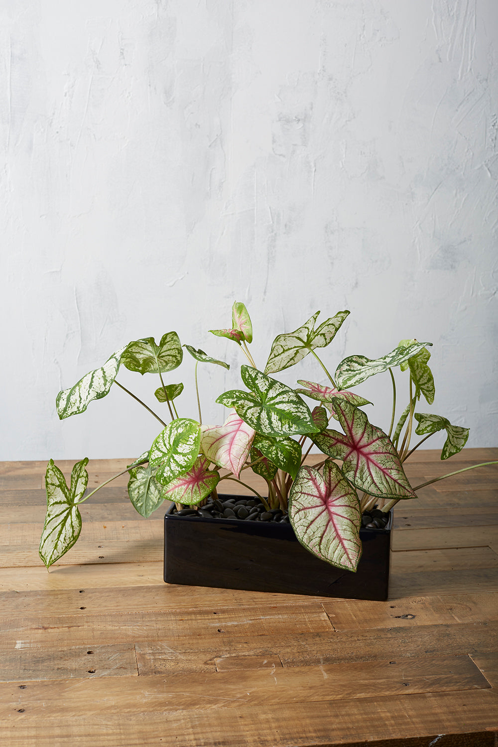 Urban Planter Set of 4 By Accent Decor | Planters, Troughs & Cachepots | Modishstore - 20
