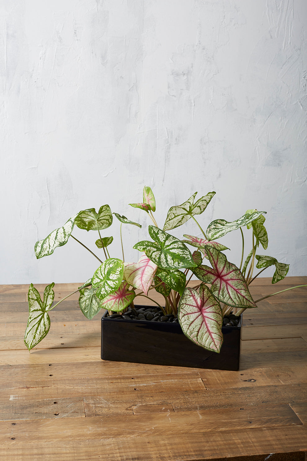 Urban Planter Set of 4 By Accent Decor | Planters, Troughs & Cachepots | Modishstore - 20