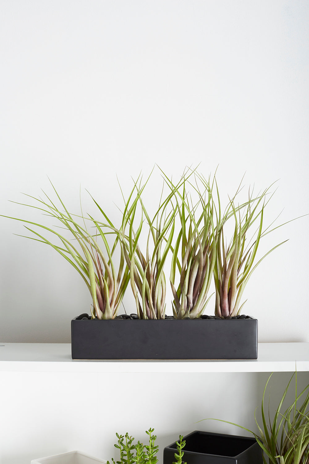 Urban Planter Set of 4 By Accent Decor | Planters, Troughs & Cachepots | Modishstore - 14