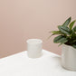 Cercle Pot Set of 8 By Accent Decor | Planters, Troughs & Cachepots | Modishstore - 6