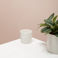 Cercle Pot Set of 8 By Accent Decor | Planters, Troughs & Cachepots | Modishstore - 9