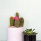 Cercle Pot Set of 8 By Accent Decor | Planters, Troughs & Cachepots | Modishstore - 12