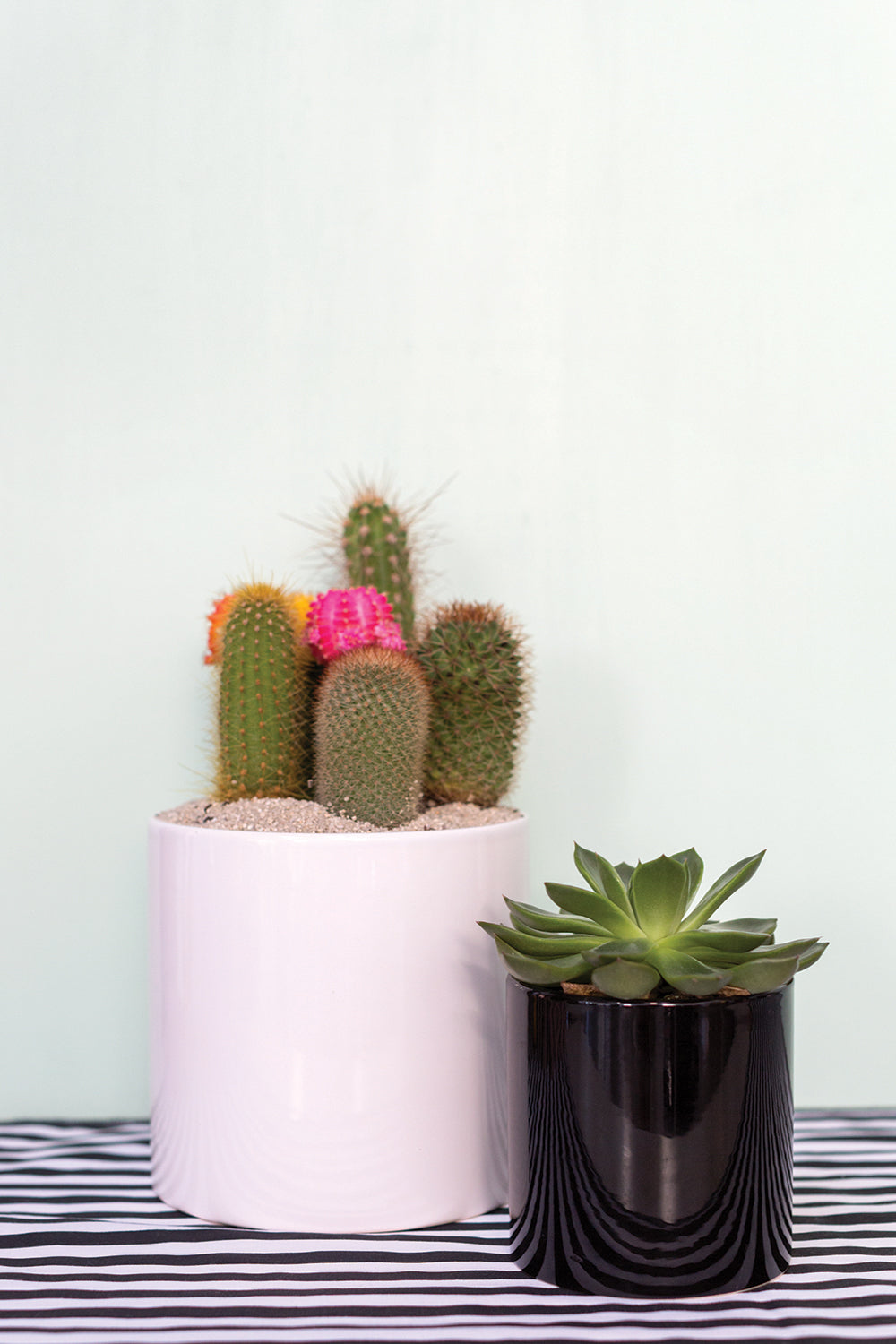 Cercle Pot Set of 8 By Accent Decor | Planters, Troughs & Cachepots | Modishstore - 12