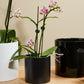 Cercle Pot Set of 8 By Accent Decor | Planters, Troughs & Cachepots | Modishstore - 16