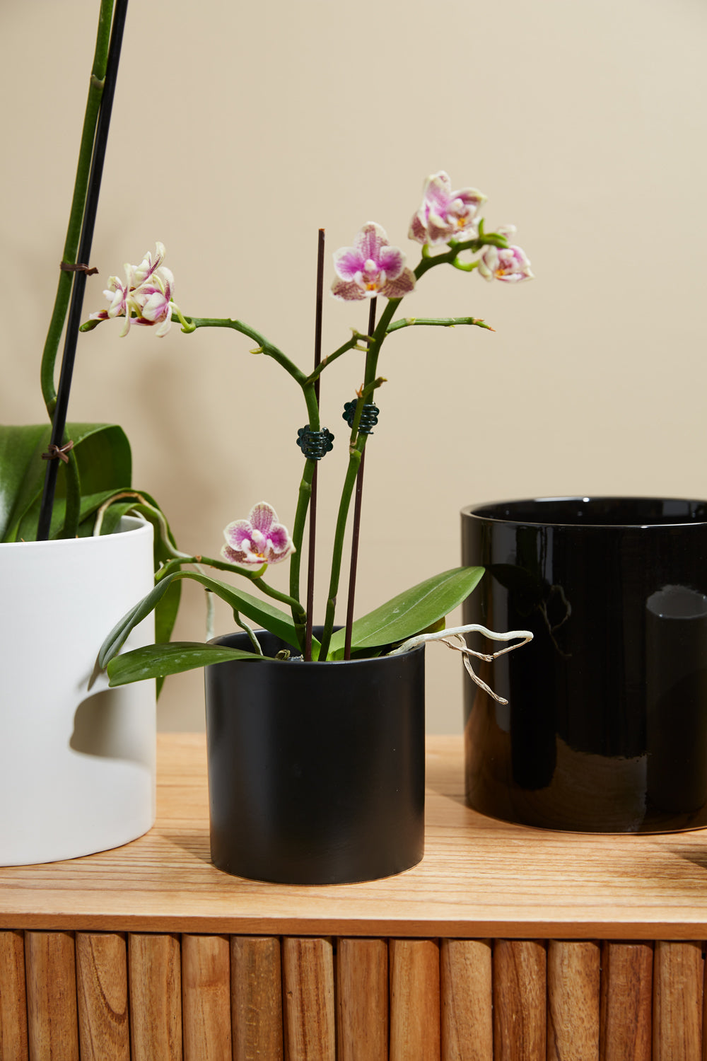 Cercle Pot Set of 8 By Accent Decor | Planters, Troughs & Cachepots | Modishstore - 16