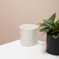 Cercle Pot Set of 8 By Accent Decor | Planters, Troughs & Cachepots | Modishstore - 18