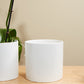 Cercle Pot Set of 8 By Accent Decor | Planters, Troughs & Cachepots | Modishstore - 19