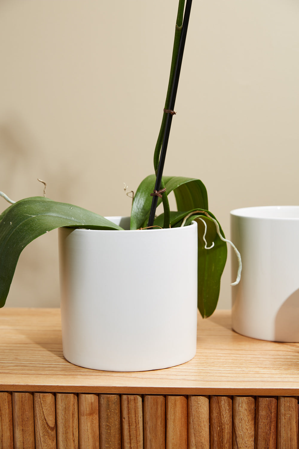 Cercle Pot Set of 8 By Accent Decor | Planters, Troughs & Cachepots | Modishstore - 21
