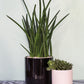 Cercle Pot Set of 8 By Accent Decor | Planters, Troughs & Cachepots | Modishstore - 23