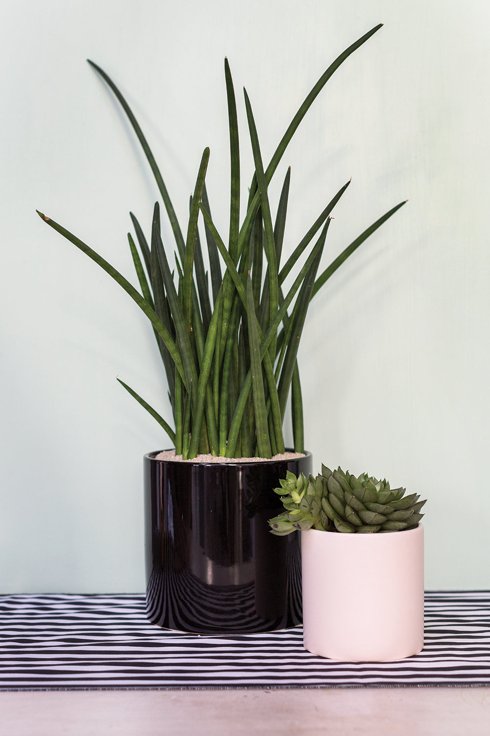 Cercle Pot Set of 8 By Accent Decor | Planters, Troughs & Cachepots | Modishstore - 23