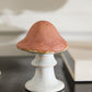 Cappy Mushroom Collection Set of 8 By Accent Decor | Planters, Troughs & Cachepots | Modishstore - 4