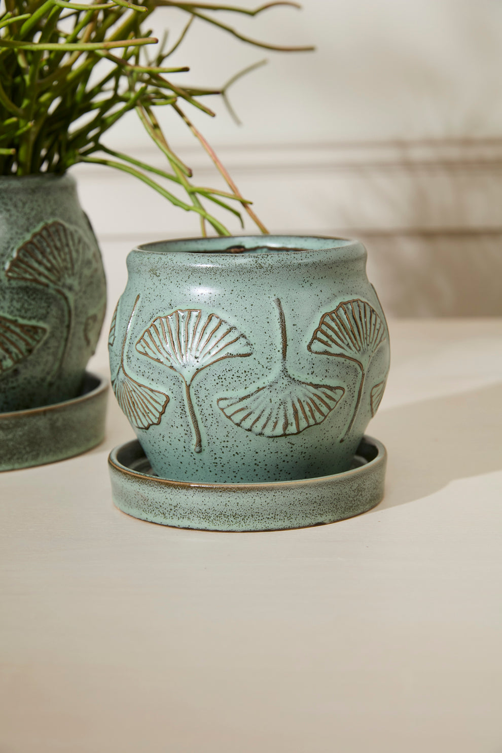 Biloba Pot with Saucer Set of 2 By Accent Decor | Planters, Troughs & Cachepots | Modishstore - 4