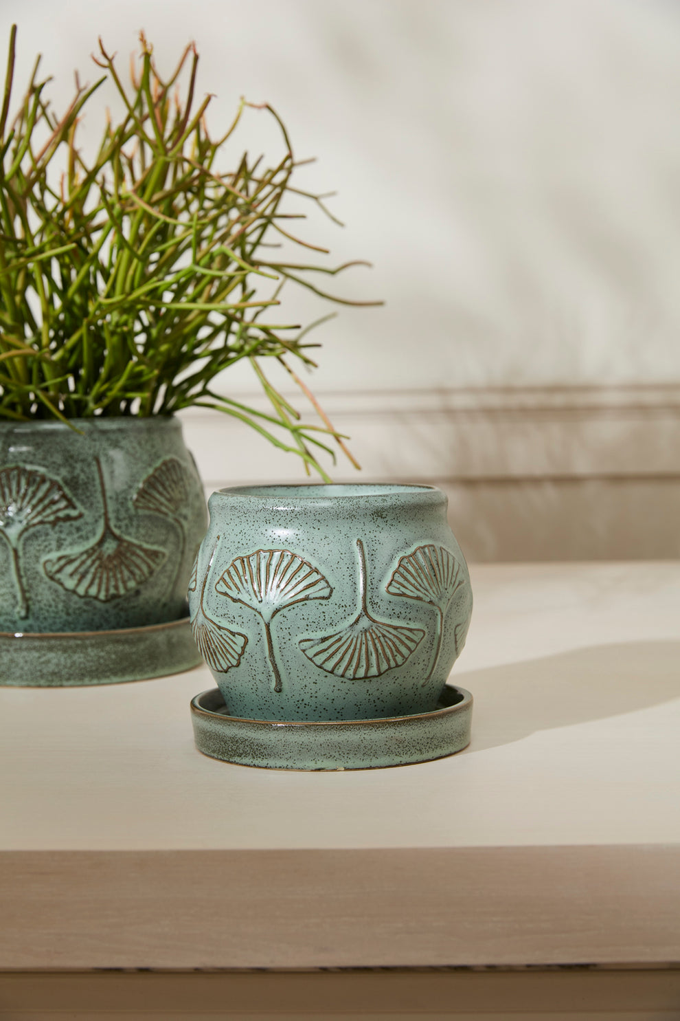 Biloba Pot with Saucer Set of 2 By Accent Decor | Planters, Troughs & Cachepots | Modishstore - 5
