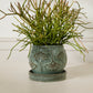 Biloba Pot with Saucer Set of 2 By Accent Decor | Planters, Troughs & Cachepots | Modishstore - 8