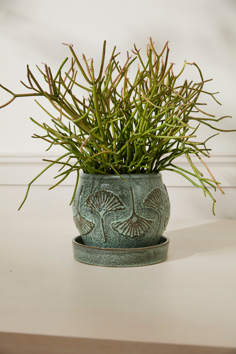 Biloba Pot with Saucer Set of 2 By Accent Decor | Planters, Troughs & Cachepots | Modishstore - 8