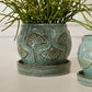 Biloba Pot with Saucer Set of 2 By Accent Decor | Planters, Troughs & Cachepots | Modishstore - 9