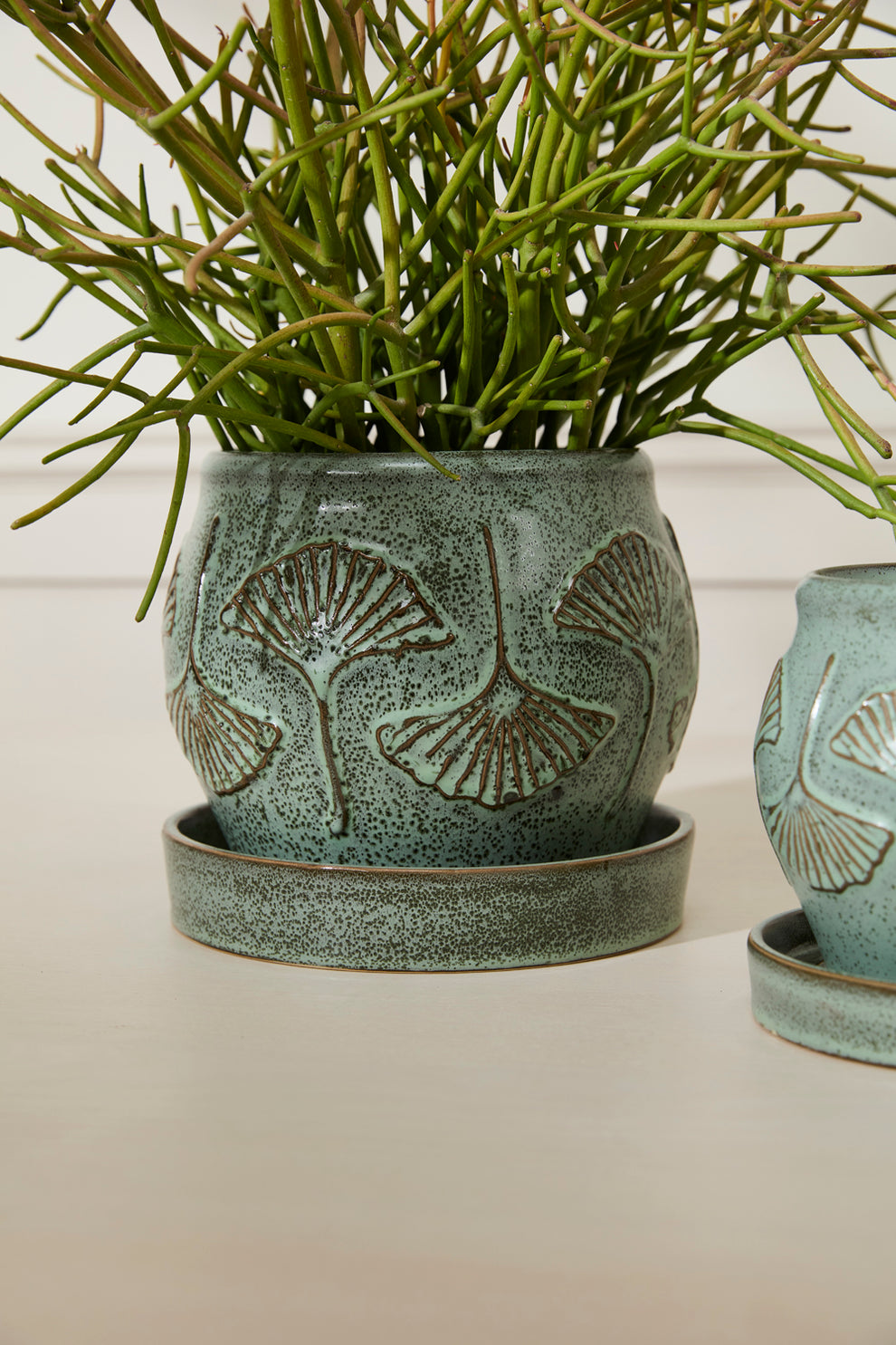 Biloba Pot with Saucer Set of 2 By Accent Decor | Planters, Troughs & Cachepots | Modishstore - 9