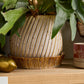 Carved Pot with Saucer Set of 2 By Accent Decor | Planters, Troughs & Cachepots | Modishstore - 9