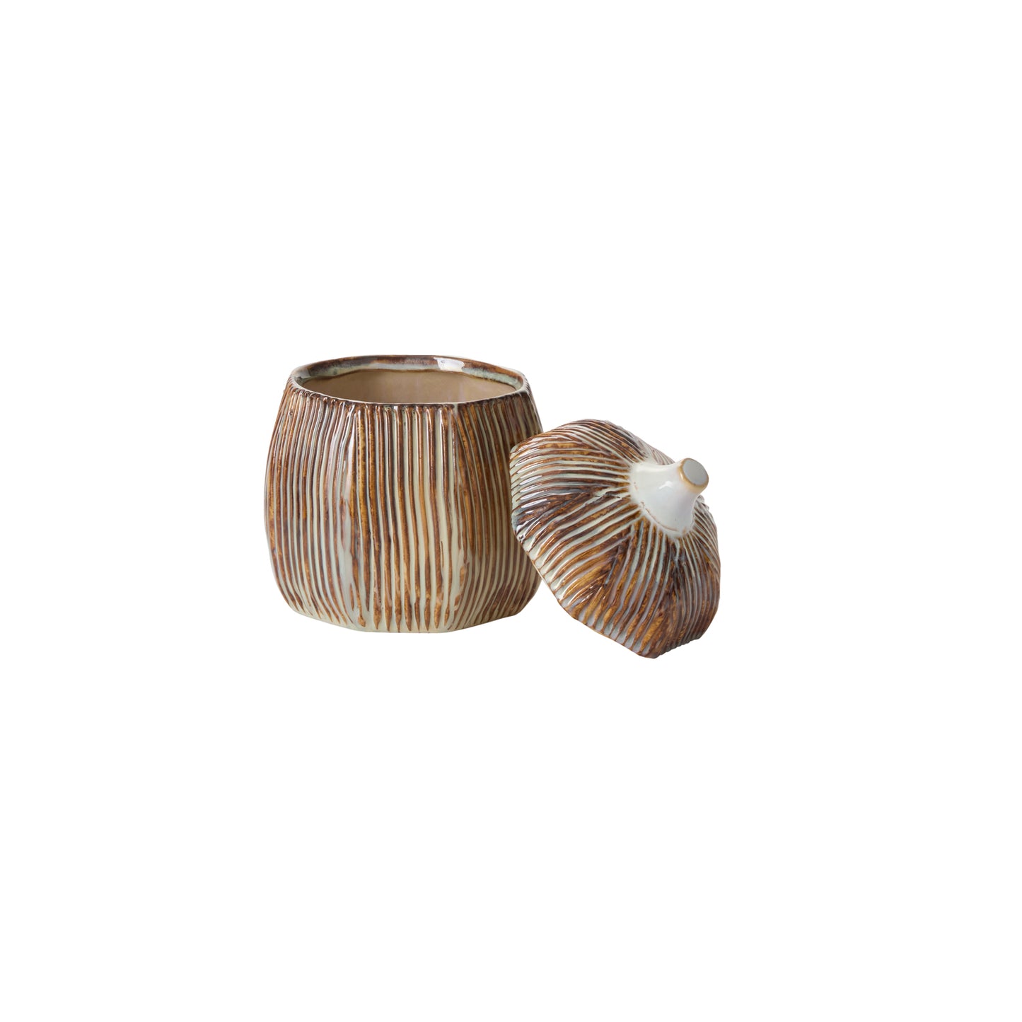Sweet Birch Canister Set of 2 By Accent Decor | Planters, Troughs & Cachepots | Modishstore - 2