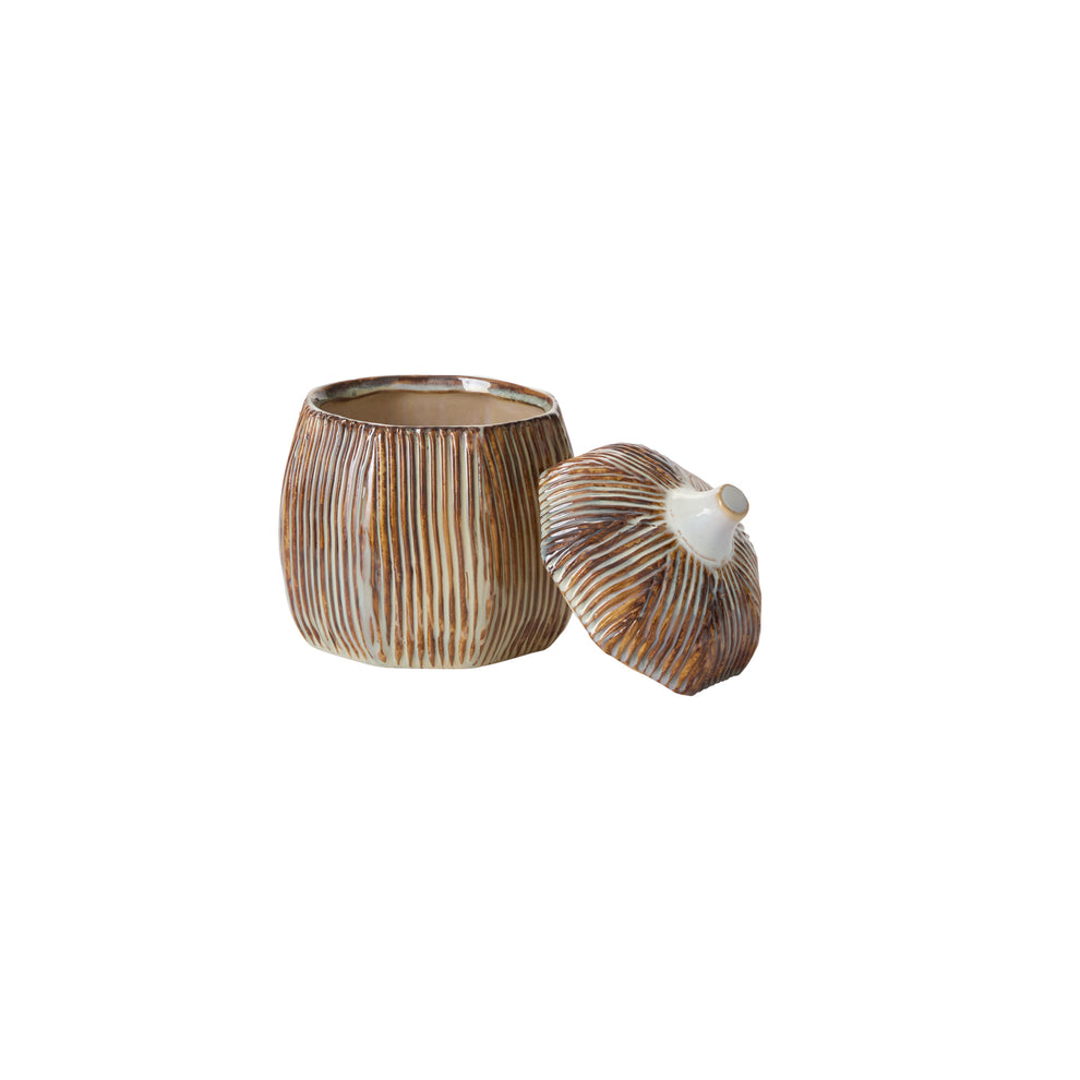 Sweet Birch Canister Set of 2 By Accent Decor | Planters, Troughs & Cachepots | Modishstore - 2