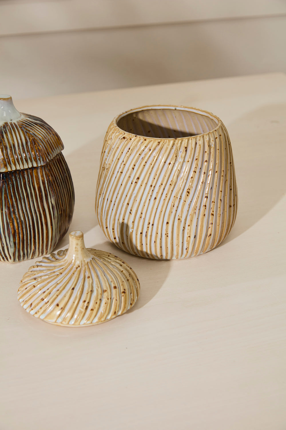 Sweet Birch Canister Set of 2 By Accent Decor | Planters, Troughs & Cachepots | Modishstore - 12