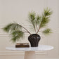 Attica Vase By Accent Decor | Vases | Modishstore - 12