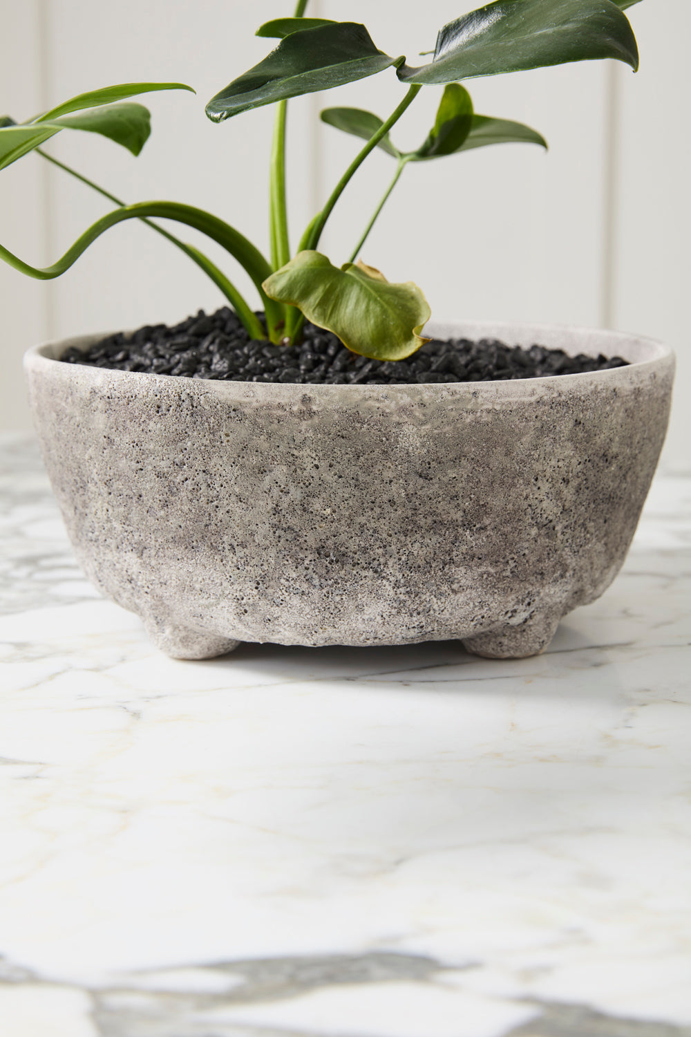 Shoal Bowl Set of 2 By Accent Decor | Decorative Bowls | Modishstore - 5