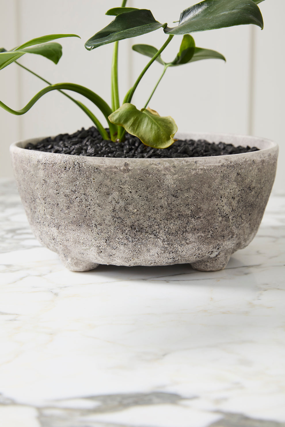 Shoal Bowl Set of 2 By Accent Decor | Decorative Bowls | Modishstore - 5