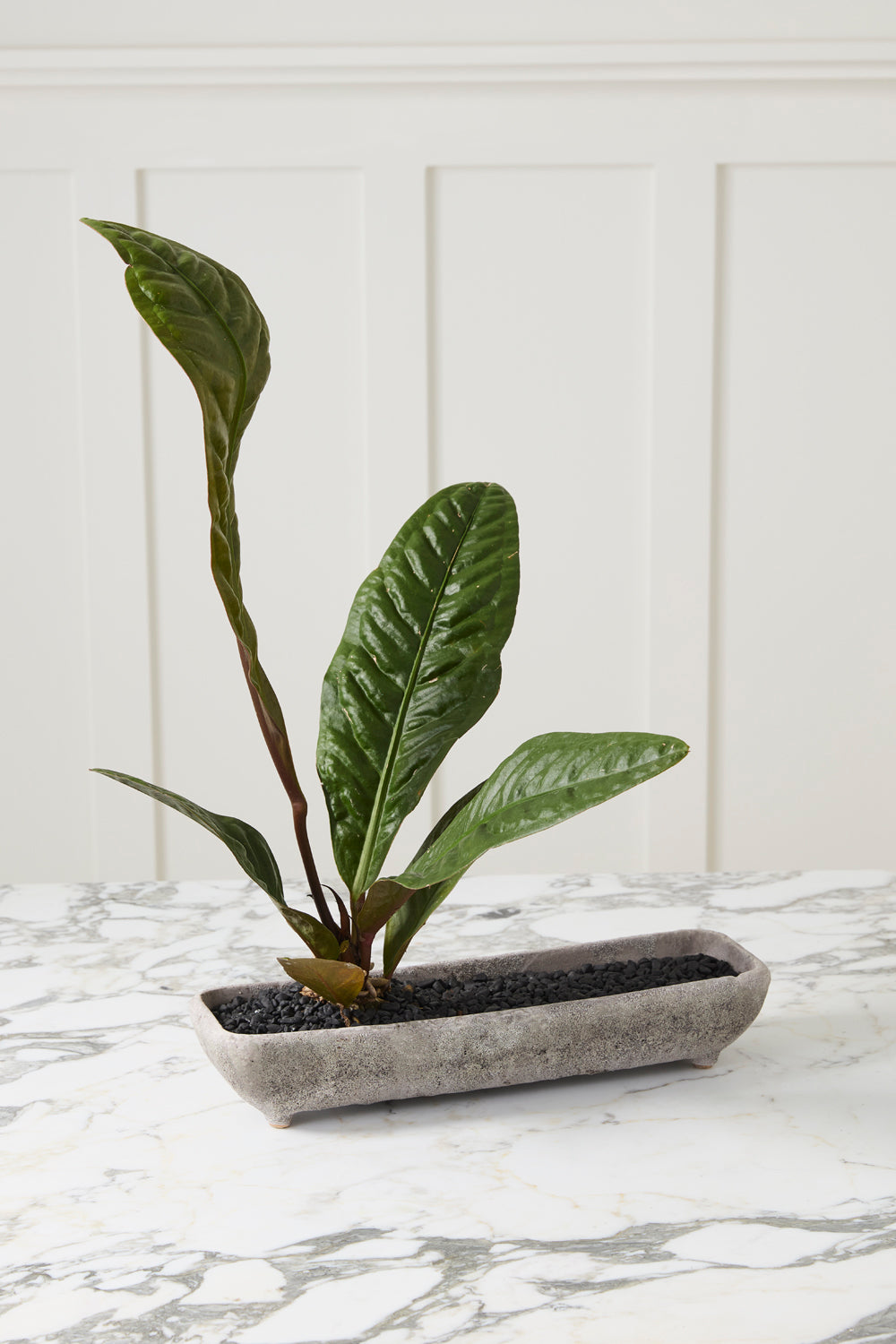Shoal Trough Set of 2 By Accent Decor | Wall Decor | Modishstore - 4