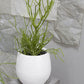 Benji Pot 14.5" x  13.5" White By Accent Decor| Planters, Troughs & Cachepots | Modishstore - 6