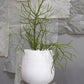 Benji Pot 14.5" x  13.5" White By Accent Decor| Planters, Troughs & Cachepots | Modishstore - 4