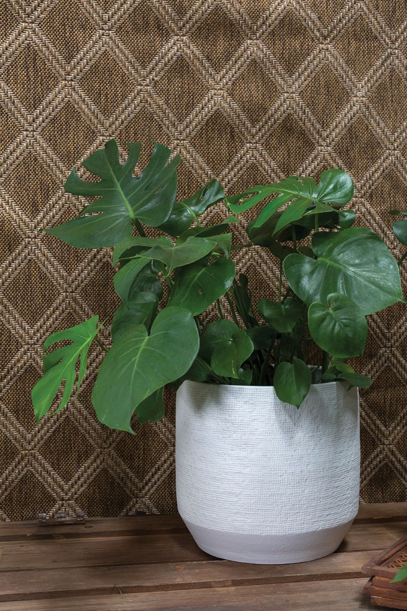 Ray Pot By Accent Decor | Planters, Troughs & Cachepots | Modishstore - 3