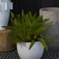 Druid Pot By Accent Decor | Planters, Troughs & Cachepots | Modishstore - 2