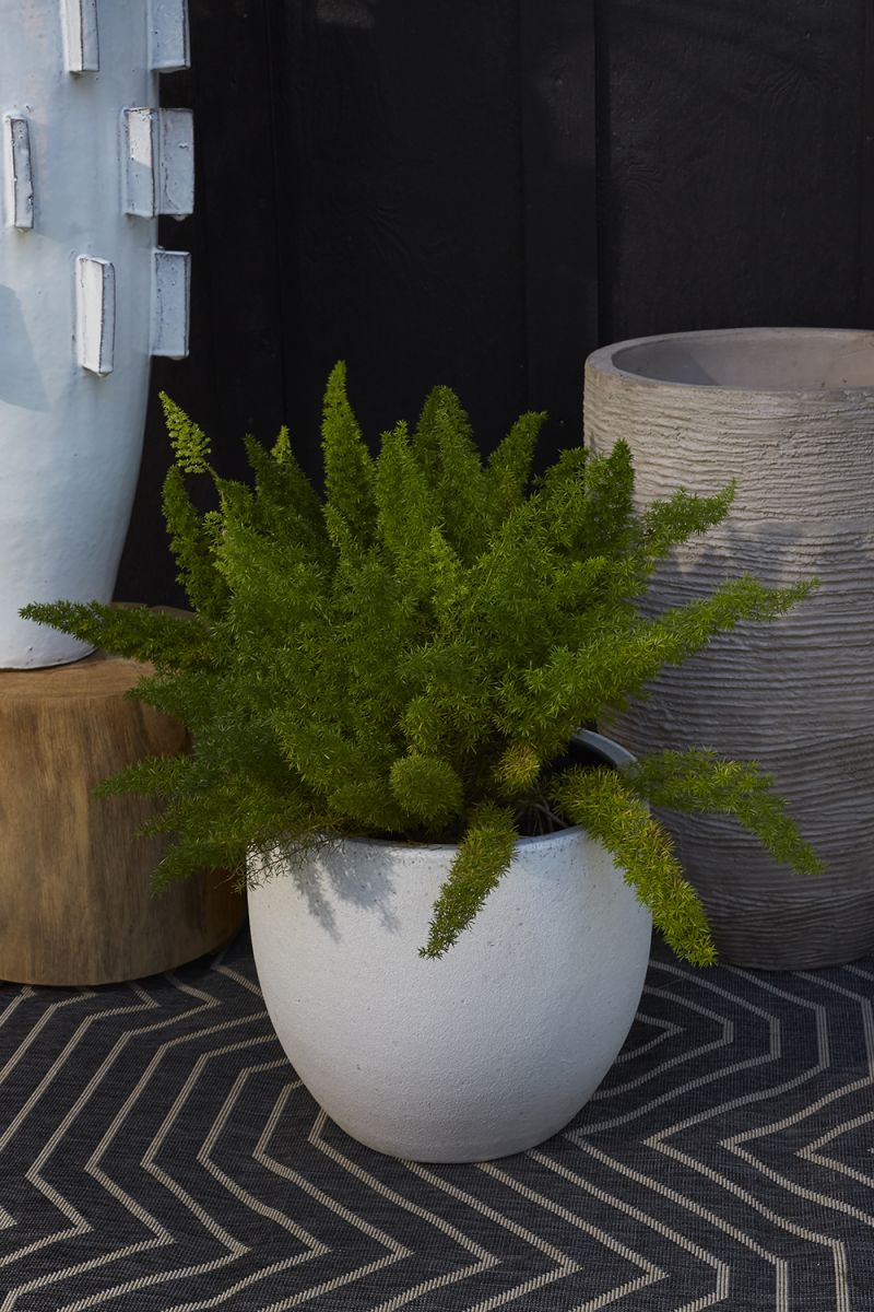 Druid Pot By Accent Decor | Planters, Troughs & Cachepots | Modishstore - 2