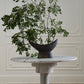 Numina Boat By Accent Decor | Planters, Troughs & Cachepots | Modishstore - 5