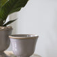 Cara Compote Set of 4 By Accent Decor | Planters, Troughs & Cachepots | Modishstore - 5