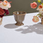 Cara Compote Set of 4 By Accent Decor | Planters, Troughs & Cachepots | Modishstore - 6