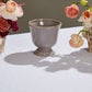 Cara Compote Set of 4 By Accent Decor | Planters, Troughs & Cachepots | Modishstore - 14