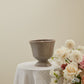 Cara Compote Set of 4 By Accent Decor | Planters, Troughs & Cachepots | Modishstore - 15