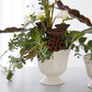 Cara Compote Set of 4 By Accent Decor | Planters, Troughs & Cachepots | Modishstore - 17