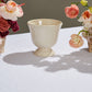 Cara Compote Set of 4 By Accent Decor | Planters, Troughs & Cachepots | Modishstore - 18