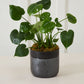 Lennon Pot Set of 4 By Accent Decor | Planters, Troughs & Cachepots | Modishstore - 7
