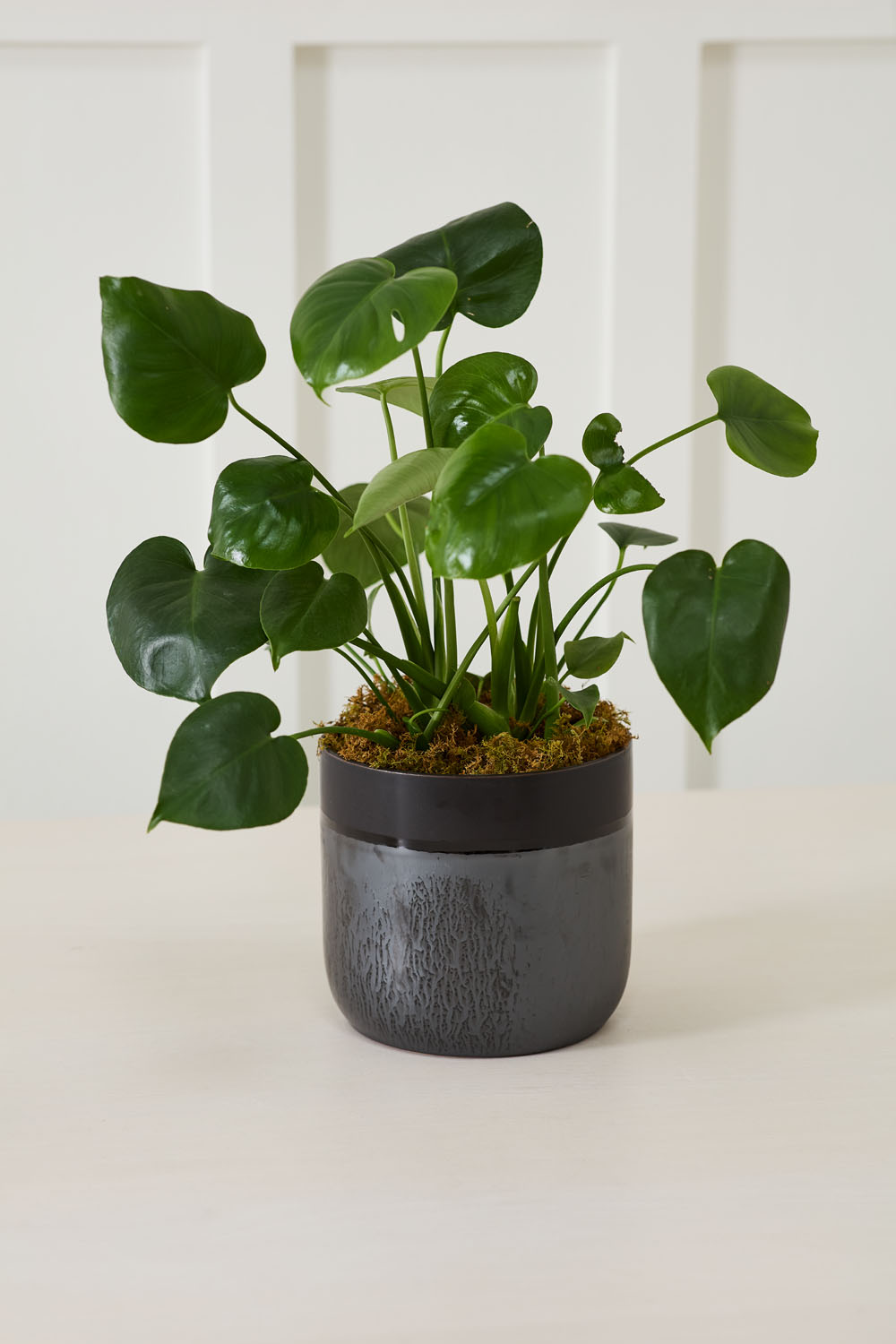 Lennon Pot Set of 4 By Accent Decor | Planters, Troughs & Cachepots | Modishstore - 7